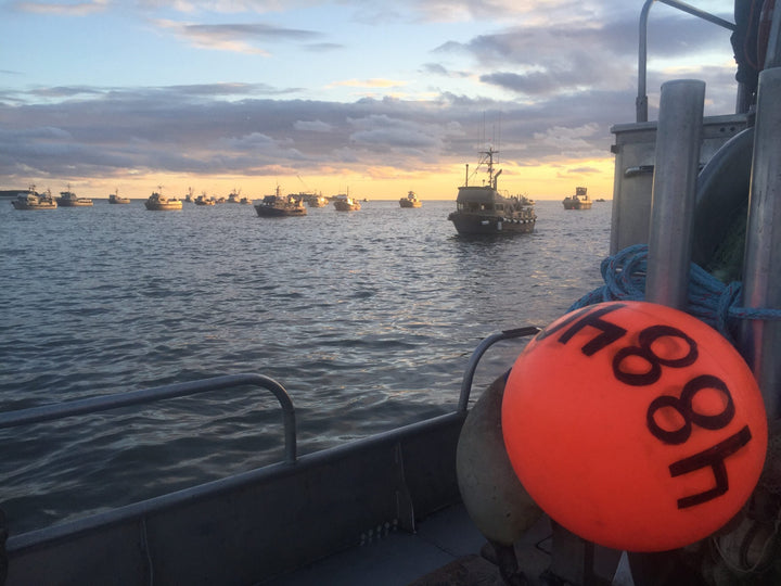 How does wild-caught seafood make it to your plate?
