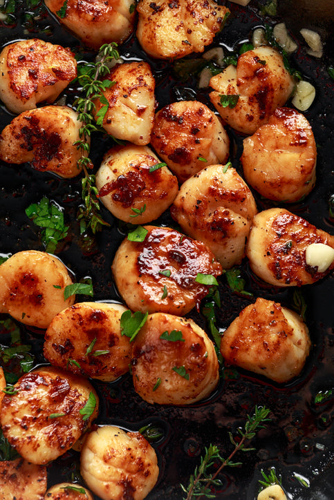 North Atlantic Sea Scallops