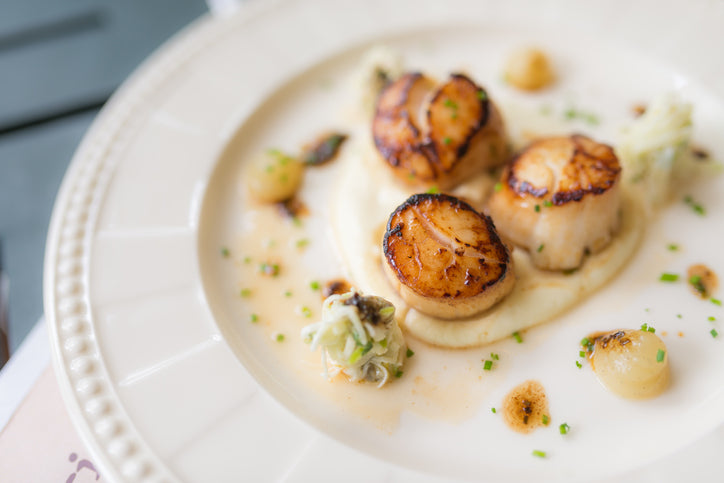 North Atlantic Sea Scallops