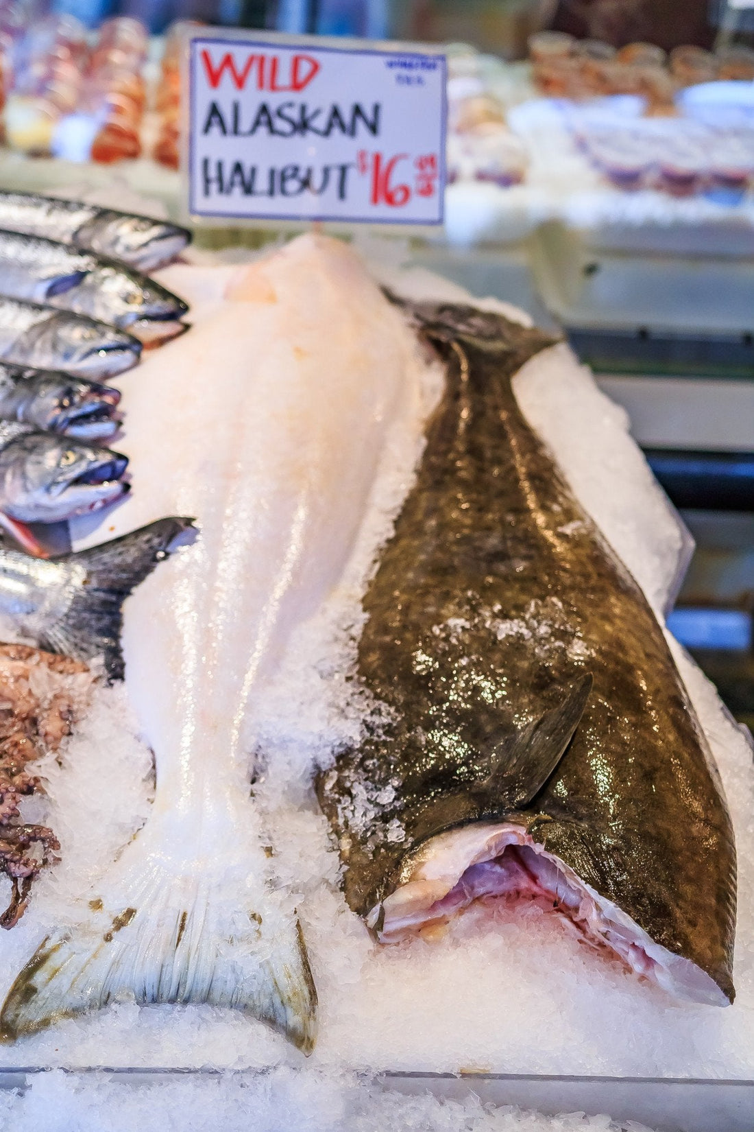 Halibut: The Top Benefits of Wild Alaskan Halibut